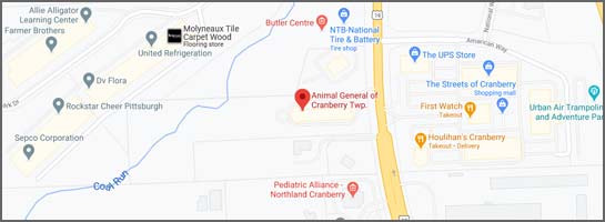 Google map location Animal General located in Cranberry Township